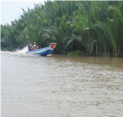 III. Tham quan Vườn Dừa nước