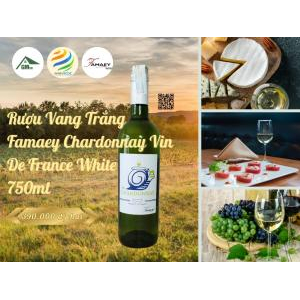 Winey Ecoz - Tham Gia Lễ Hội Tao Đàn Chiêu Anh Các Hà Tiên