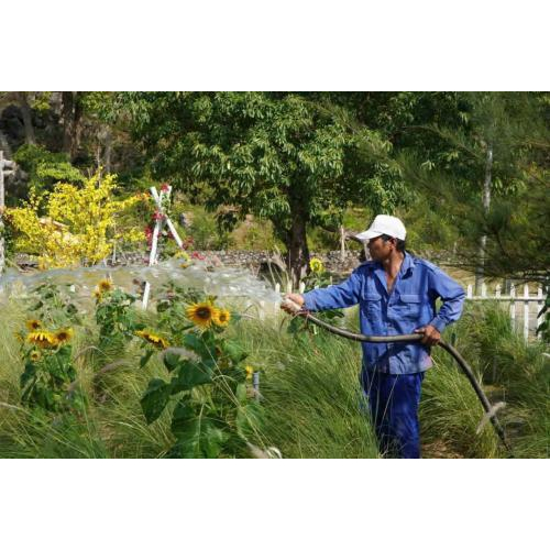 Hà tiên tích cực Chào mừng Kỷ niệm 50 năm ngày Giải phóng miền Nam, thống nhất đất nước (30/4/1975 – 30/4/2025) và ngày Quốc tế Lao động (01/5/1886 – 01/5/2025)