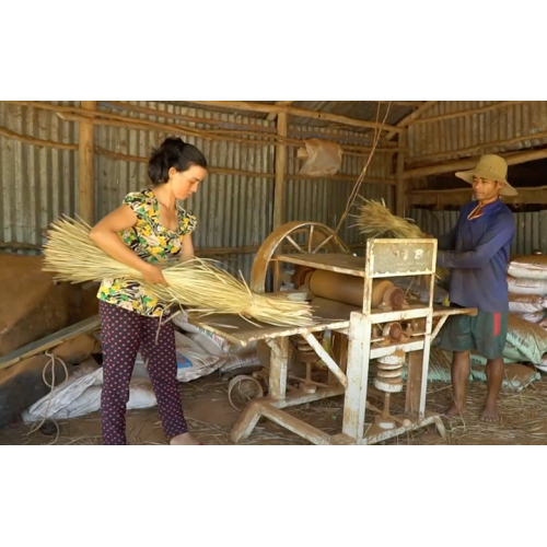 Nghề Đan Cỏ Bàng Xã Phú Mỹ Nét Đẹp Thủ Công Truyền Thống