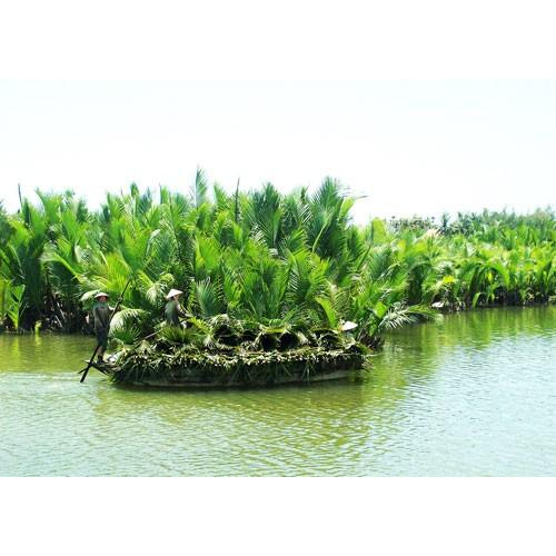 Nghề chằm lá dừa nước