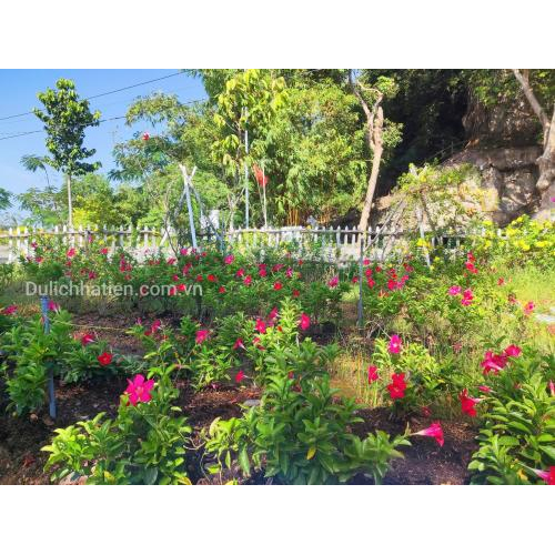 Check-in Cuối Năm Tại Hà Tiên – Hẹn Gặp Nhau Ở Đá Dựng!