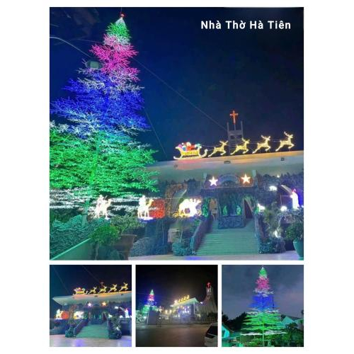 Giáng Sinh Về - Chào Đón Năm Mới 2026